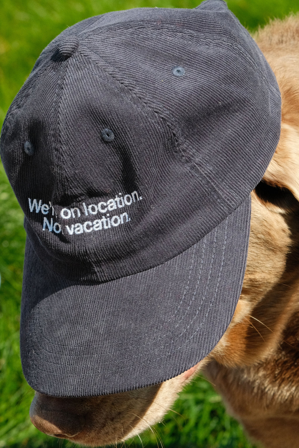 W.O.L.N.V. Dad Hat